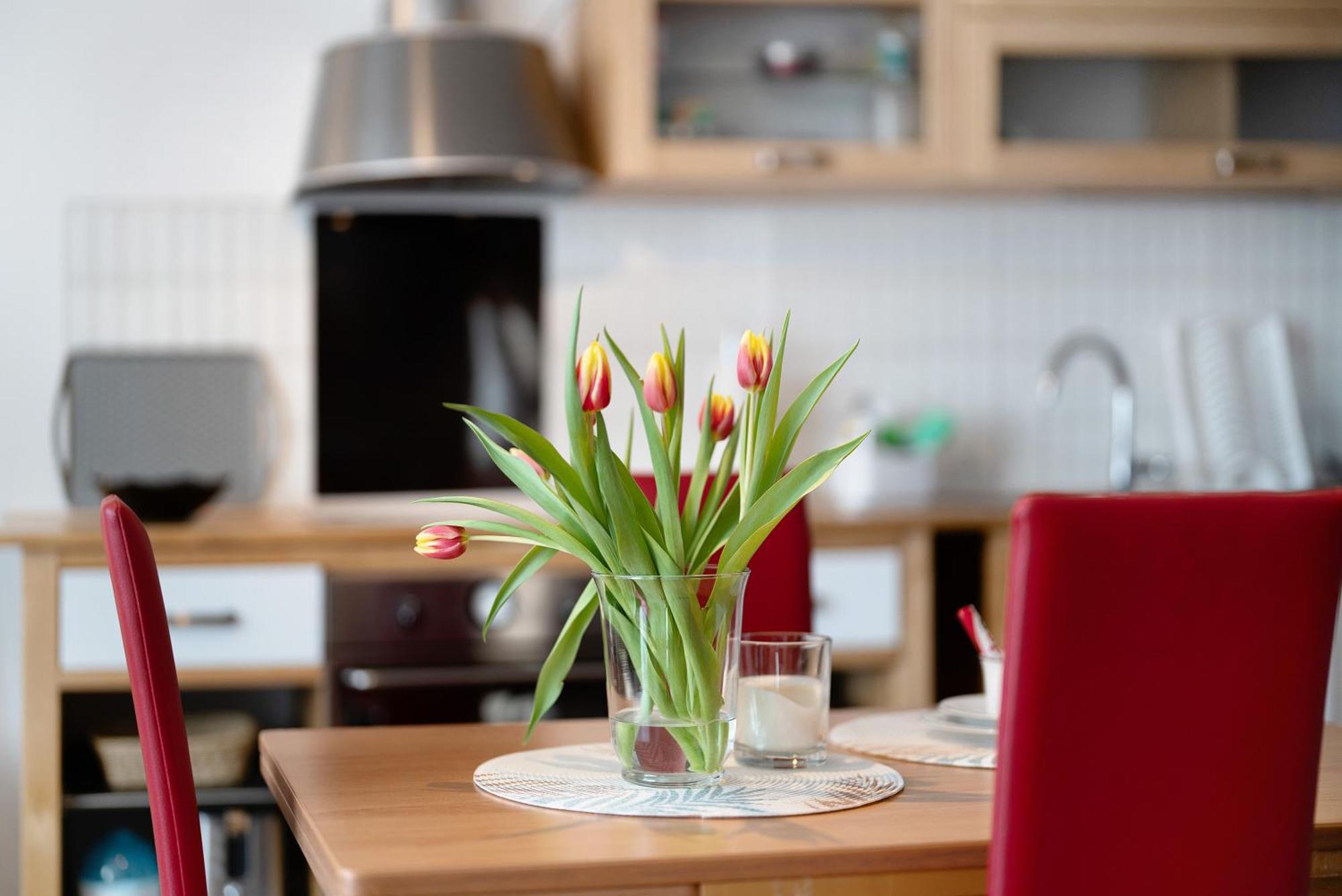 Alexander Feiss Apartment Schonach im Schwarzwald Екстериор снимка